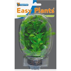 Easy Plants Low NR8